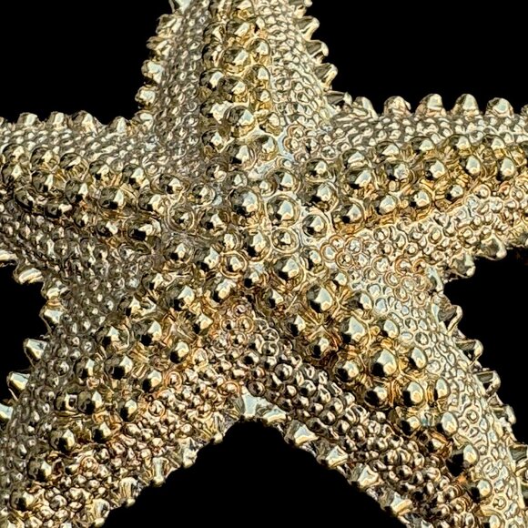 Vintage Gold Tone Starfish Brooch Pin Relief Details Costume Jewelry - Picture 4 of 5